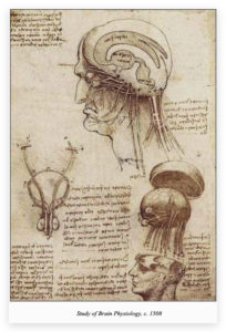 Leonardo da Vinci study of brain